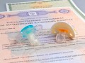 Закон о продлении программы маткапитала Госдума планирует принять 18 декабря